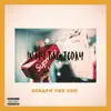 Seraph The One - In My Bag Today - Single